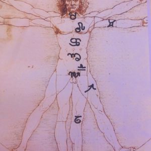 Paracelso astrologia y medicina